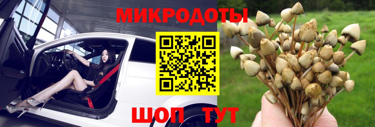 Псилоцибиновые грибы MAGIC MUSHROOMS Луга